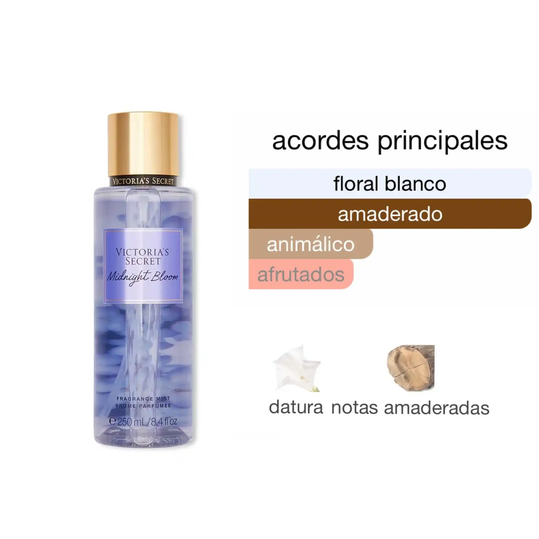 Body mist Victoria's Secret Midnight Bloom de 250 ml con gráfico de acordes principales y notas de datura.